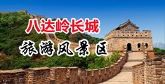 www..com女逼中国北京-八达岭长城旅游风景区